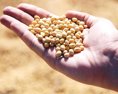 Slováci vyrábajú len z GMO free sóje