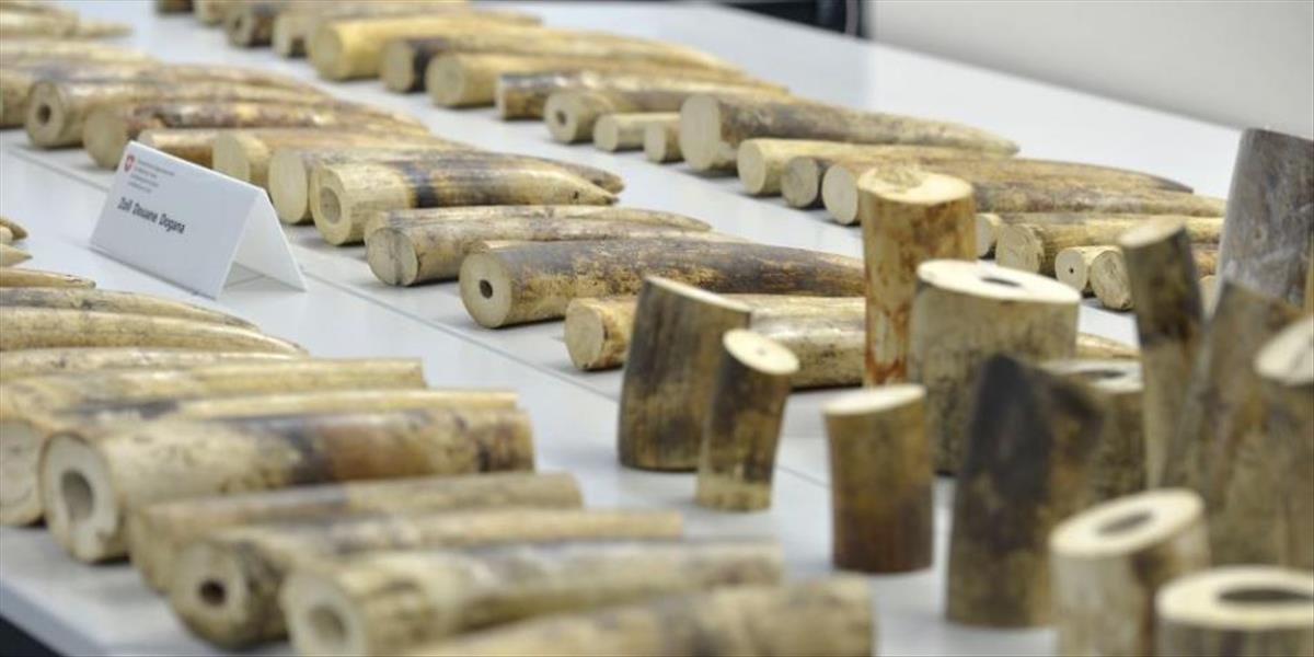 Úrady zhabali 750 kusov slonoviny, zatkli dvoch Vietnamcov