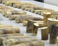 Úrady zhabali 750 kusov slonoviny zatkli dvoch Vietnamcov