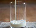 Mliekari Podiel mliečnych výrobkov zo SR vo verejnom stravovaní je potrebné zvýšiť