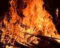 Hasiči lokalizovali požiar v priestore bratislavských mestských lesov