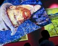 V Paríži sa bude dražiť kontroverzný predmet patriaci van Goghovi