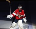 Fenomenálny kanadský brankár končí s profesionálnou hokejovou kariérou