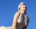 Muž ktorý ukradol sochu Marilyn Monroe pôjde na rok do väzenia