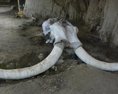 V Mexiku našli pasce na mamuty staré 15tisíc rokov