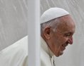Pápež vyzval technologické spoločnosti na ochranu detí pred pornografiou