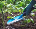 Ako sa v úvode jari starať o záhradu a úrodu?