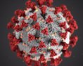 Počet nakazených koronavírusom narastá ako reagujú jednotlivé krajiny?