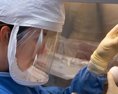 UniverzitavOxforde očakáva do polovice júna výsledky z testovania vakcíny proti koronavírusu na ľuďoch
