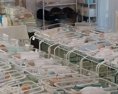 Na Ukrajine uviazla stovka detí náhradných matiek rodičia pre nich nemôžu prísť