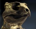 V Austrálii po prvý raz identifikovali vzácneho bezzubého dinosaura