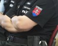 REPORTÁŽ Na Slovensku by malo vzniknúť nové odvetvie polície
