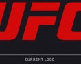 UFC Top zakončenia roku 2020