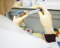 Análne testy na koronavírus v Číne? Nič také sa v krajine nedeje tvrdia elity