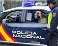 Neuveriteľný spôsob na prepravu drog španielski policajti len krútili hlavami
