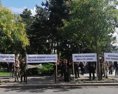 REPORTÁŽ Reforma o ochrane národných parkov vyhnala pred Úrad vlády ochranárov a lesníkov