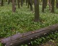 Na Slovensku vznikne nová prírodná rezervácia