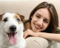 Ako dosiahnuť krásnu srsť u psa? Dôležitá je vnútorná výživa