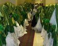 Afganistan zažil masovú svadbu so 70 pármi! Taliban im pripravil nevídané obmedzenia