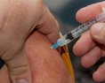 ŠÚKL eviduje 11.126 hlásených podozrení na nežiaduce účinky vakcín