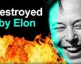 Elon Musk argumentačne zlikvidoval reportéra BBC