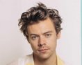 Na titulke Vogue pózoval ako prvý muž v histórii v ženských šatách. Vychádza výnimočný príbeh o Harry Stylesovi ktorý mení nielen hudobný svet!
