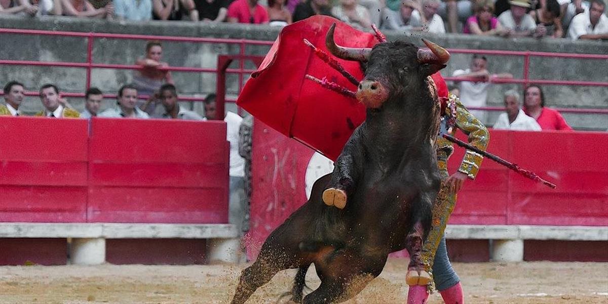 Španielsko zakázalo býčie zápasy s účasťou "trpasličích toreadorov"