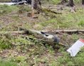 Zmiznuté malé lietadlo na Orave našli pilot bohužiaľ neprežil