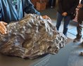 Národné prírodopisné múzeum v Paríži vystaví unikátne kúsky meteoritu