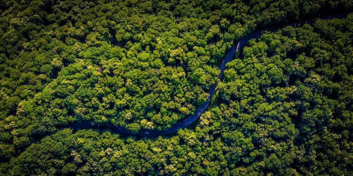 Brazílska vláda predstavila plán na ukončenie odlesňovania Amazonského pralesa