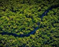 Brazílska vláda predstavila plán na ukončenie odlesňovania Amazonského pralesa