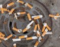 Enviro Vo voľne pohodenom odpade dominovali cigaretové ohorky a rôzne plasty