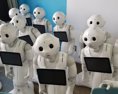 Japonské mesto použije proti záškoláctvu robotov