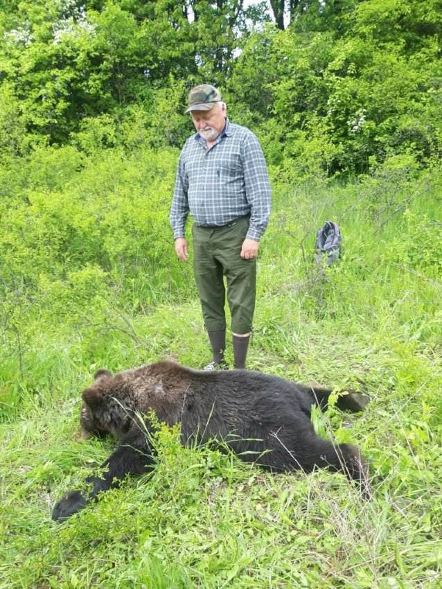 ilustračná foto