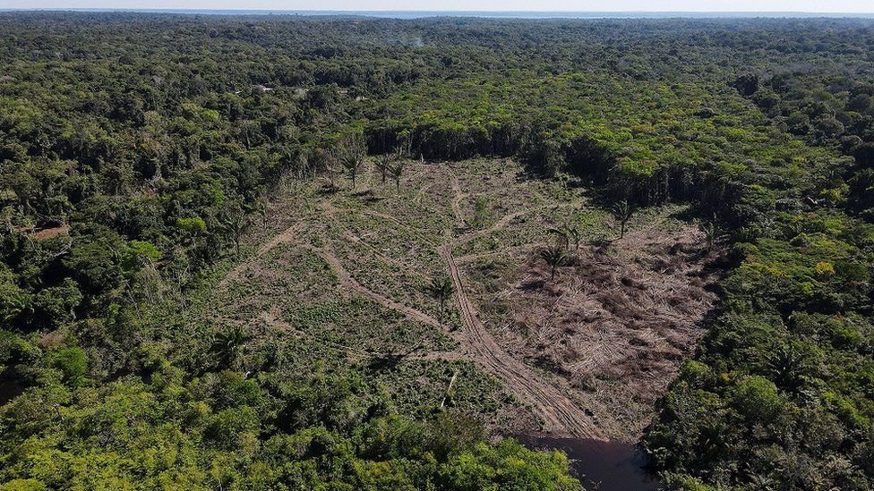 odlesnená plocha v Amazonskom pralese