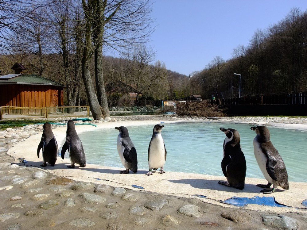 Košická Zoo je rozlohou najväčšou v Strednej Európe.