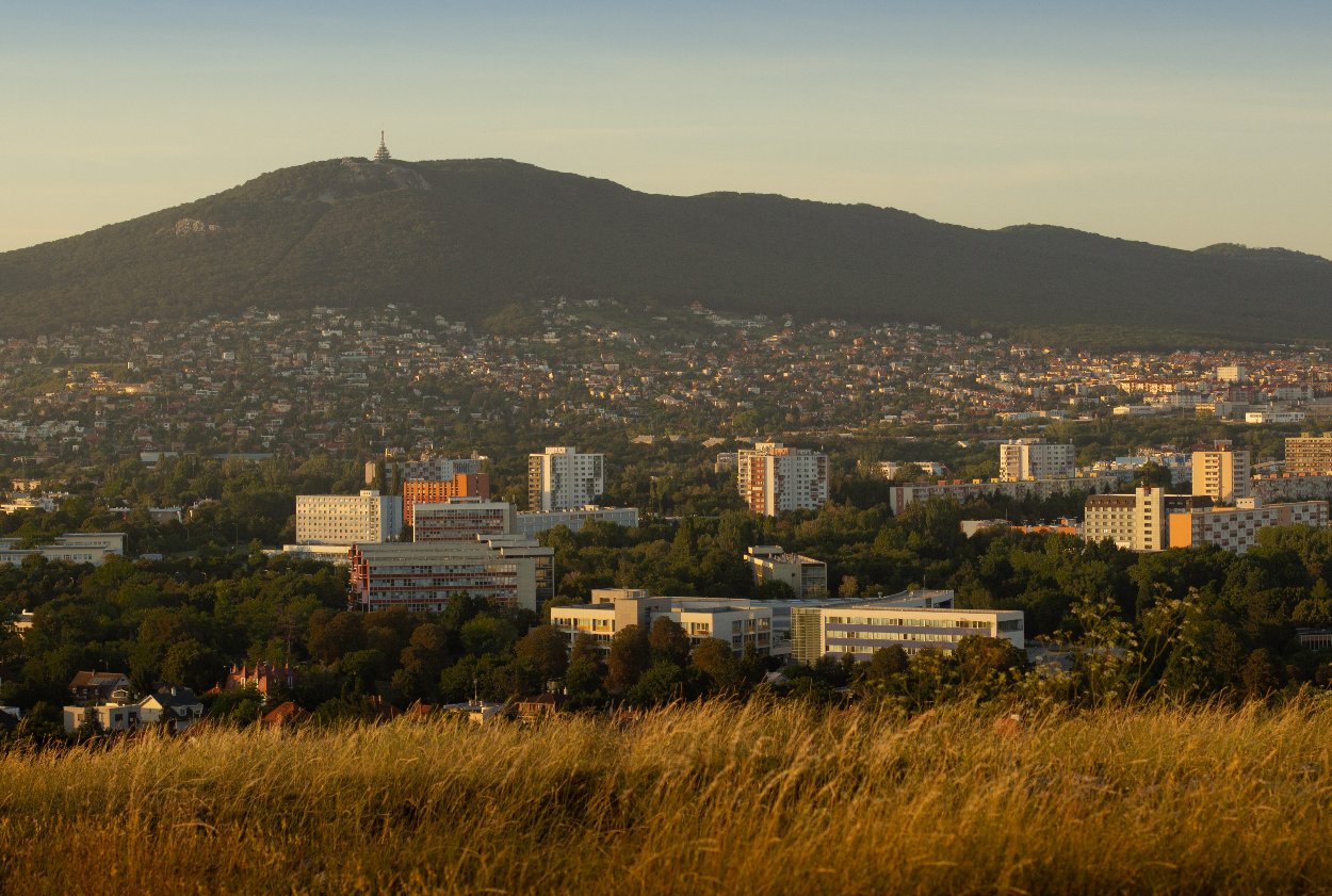 Nitra
