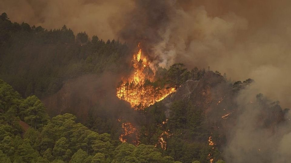 lesné požiare na Tenerife