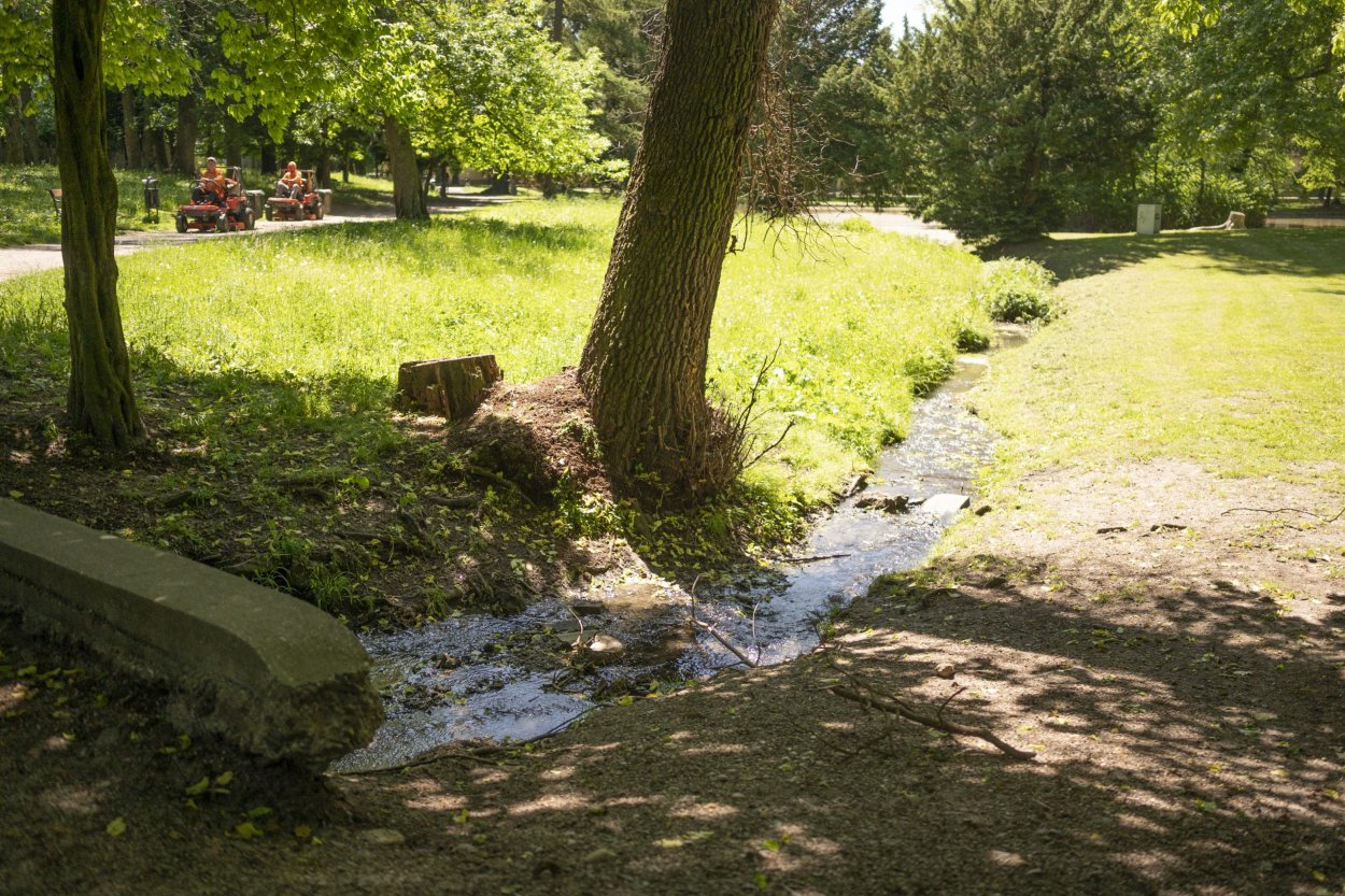 Park v Stupave, ktorého čaká revitalizácia