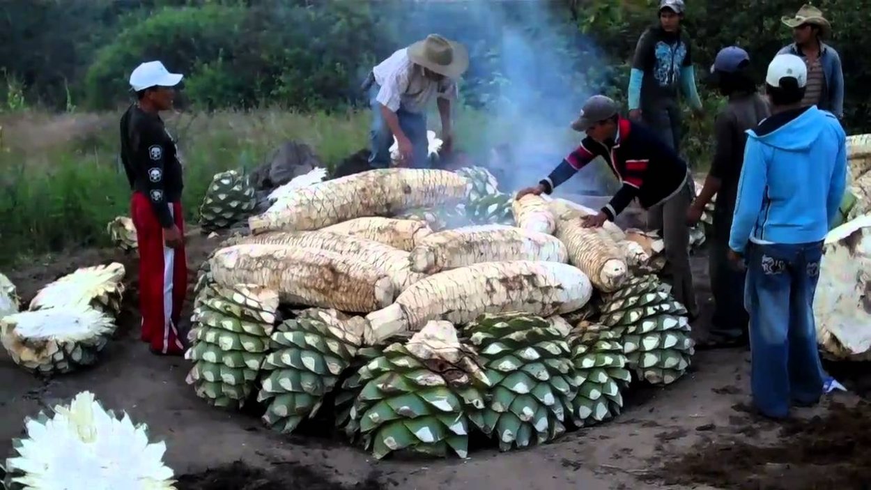 Proces výroby mezcalu