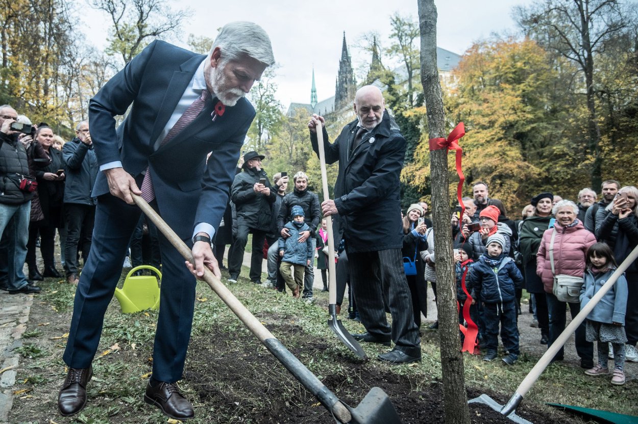 Zasadenie stromu na Pražskom hrade.