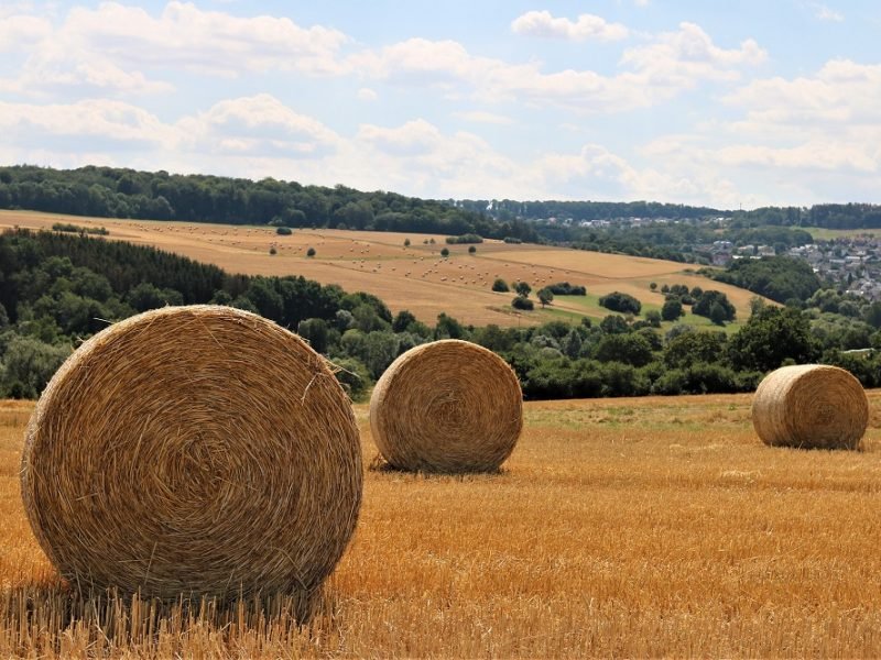 ilustračná foto