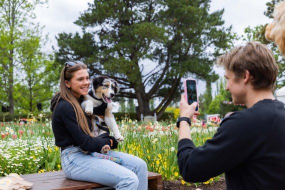 Žena pózuje na fotografiách so svojím psom na podujatí "Dogs' Day Out" počas kvetinového festivalu Floriade v Canberre, Austrália, 15. októbra 2023. 