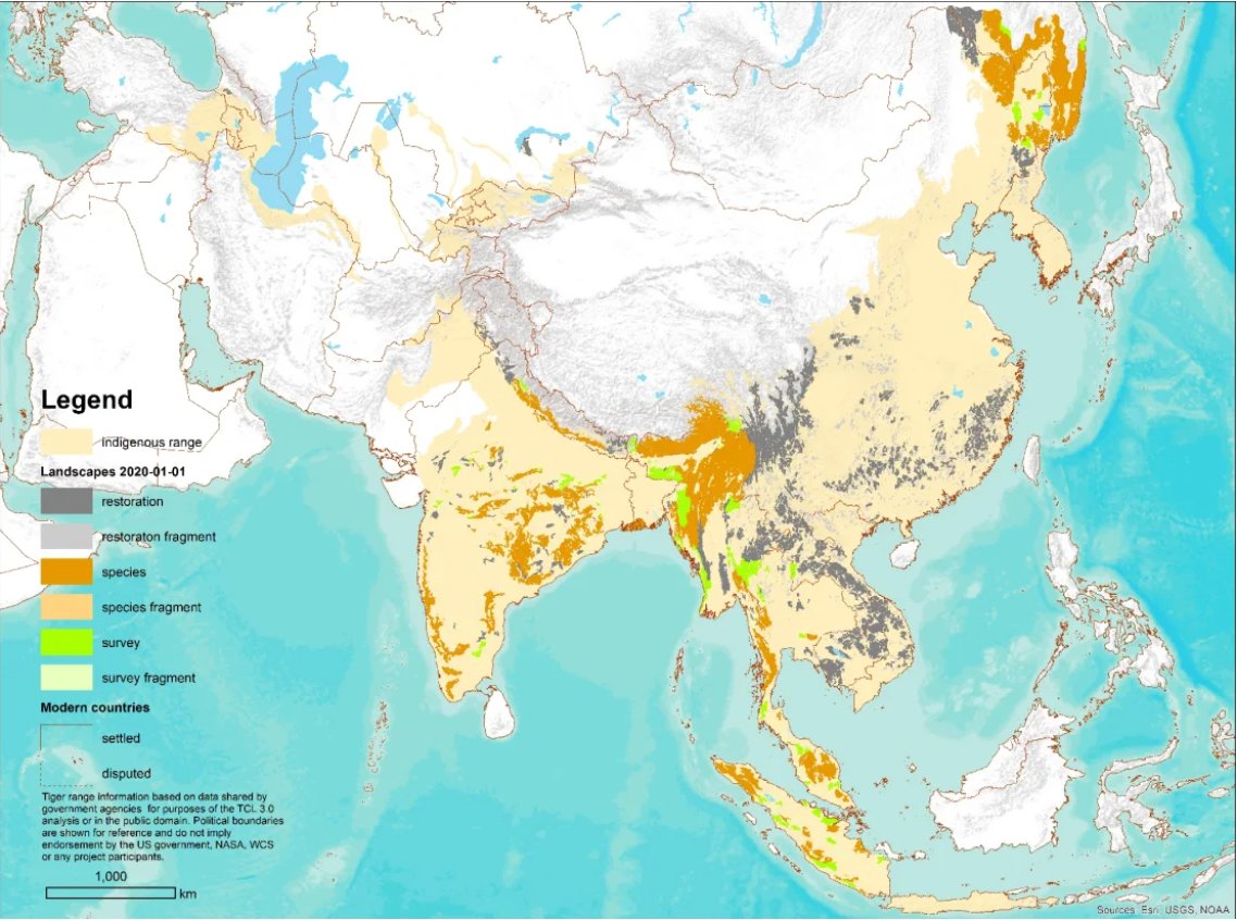 Mapa šiestich kategórií Tiger Conservation Landscapes k 1. januáru 2020 zo štúdie publikovanej v Frontiers.