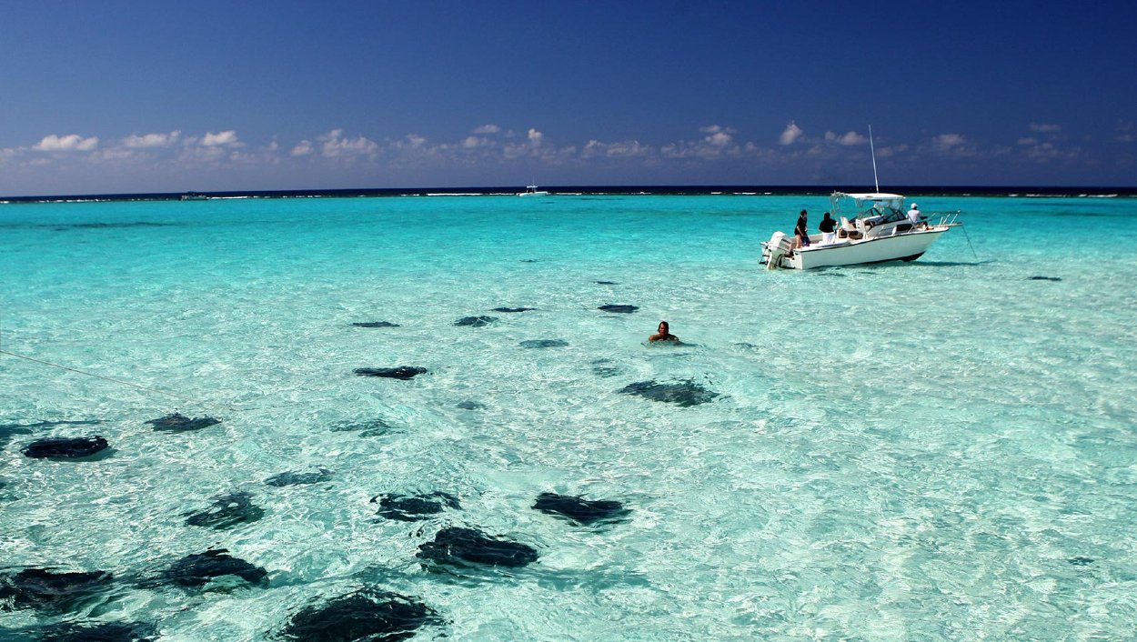 Stingray City, Veľký Kajman