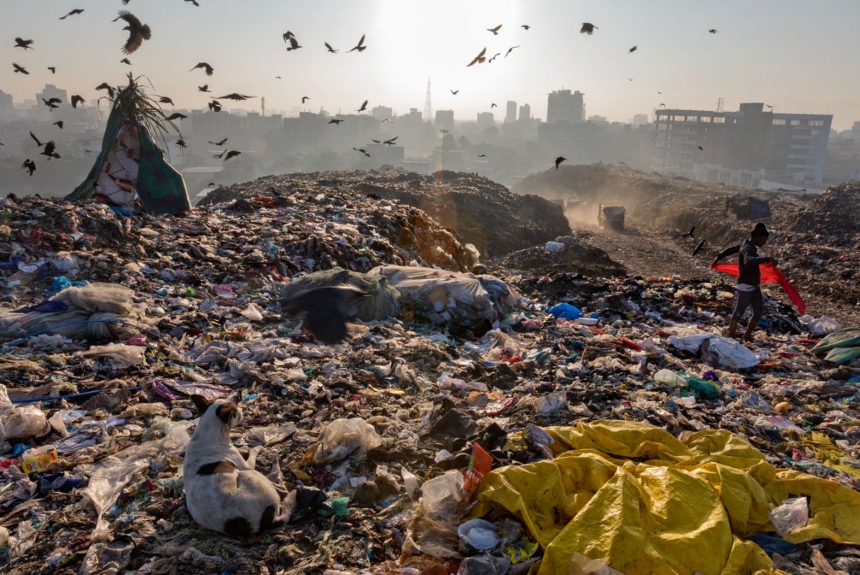 Väčšina plastov je vyhodená hocikde na skládky alebo priamo do riek, pretekajúcich do jazier alebo oceánov. Na zemi sa potom plastami upchávajú kanalizácie, čím vznikajú záplavy. Približne 80% odpadkov, ktoré sa objavia v oceáne pochádza z pôdy a do vody sa dostáva počas silného dažďa, búrok a prepadov kanalizácie. V oceánoch narastá počet rýb a na pobreží počet vtákov, ktorým sa v žalúdkoch našli rôzne druhy plastov. 