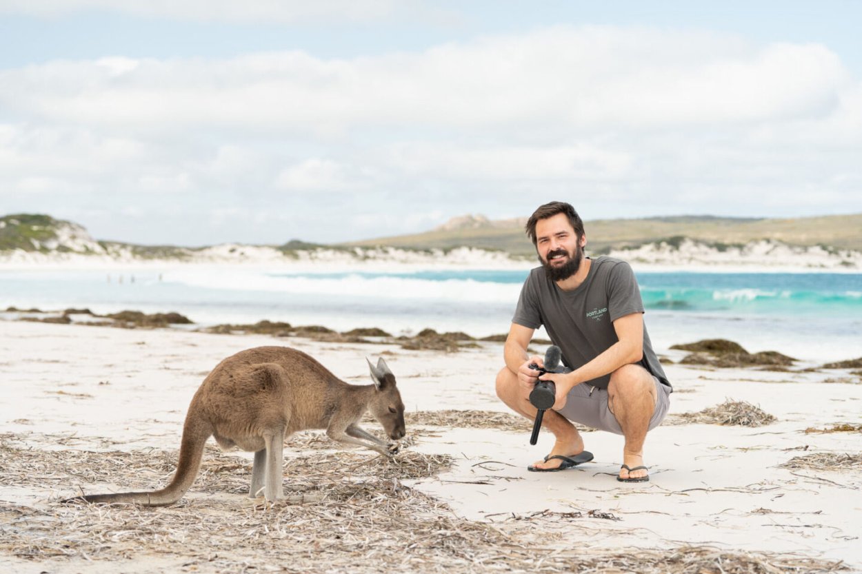 Kengury Lucky Bay môžete vidieť v národnom parku Cape Le Grand pozdĺž pobrežia pláže Lucky Bay.