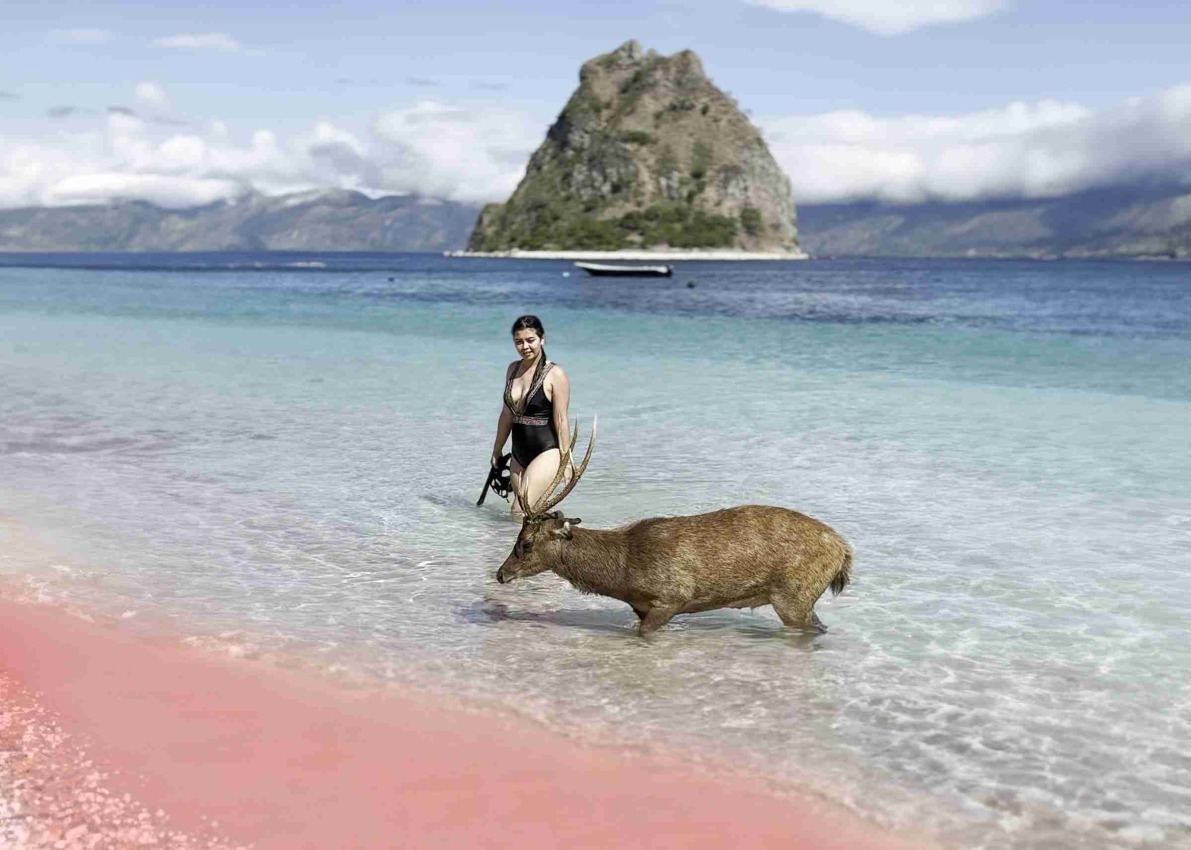 Ružová pláž alebo Pantai Merah, ako sa vhodne volá, je jednou zo siedmich ružových pláží na planéte a je len jednou z mnohých úžasných čŕt ostrova Komodo