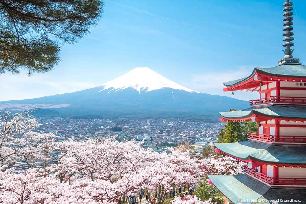 Na jar okolie hory obklopujú kvitnúce japonské čerešne.