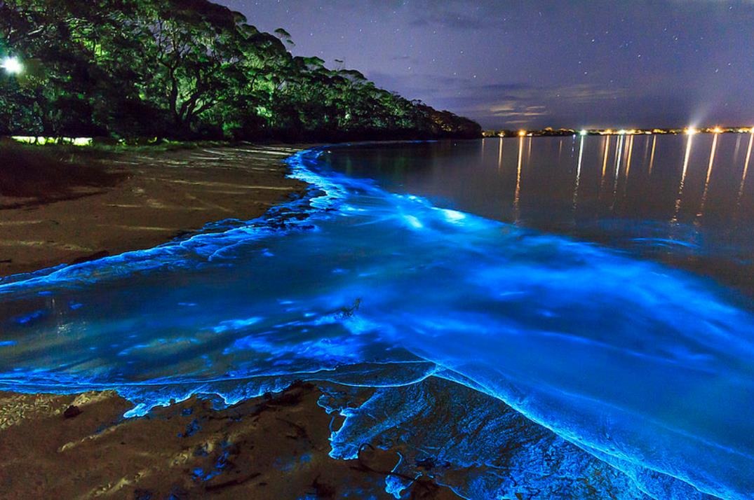 Za tento jav môže morský planktón, ktorý má schopnosť takzvanej bioluminiscencie. Živé organizmy, ktoré majú túto schopnosť, vyžarujú jasne modré svetlo. Ide o studené svetlo, pri ktorom nedochádza k žiadnemu uvoľňovaniu tepelnej energie. U morských živočíchov nie je bioluminiscencia niečím zvláštnym. Túto schopnosť má planktónu celý rad niektorých druhov rýb.